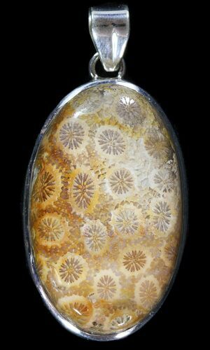 Million Year Old Fossil Coral Pendant - Sterling Silver #49573